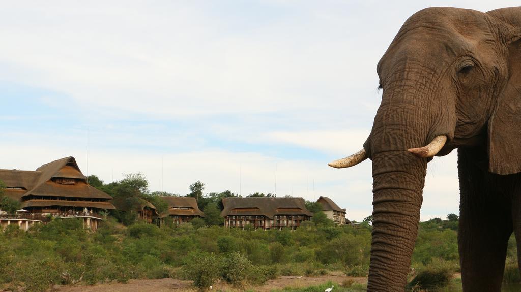 Victoria Falls Safari Suites Екстер'єр фото