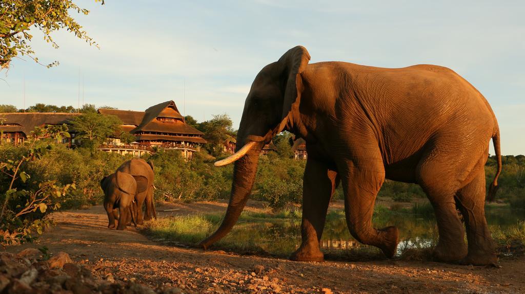 Victoria Falls Safari Suites Екстер'єр фото